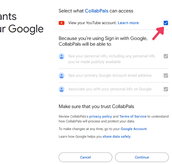 Google permission screen showing the YouTube checkbox that must be selected